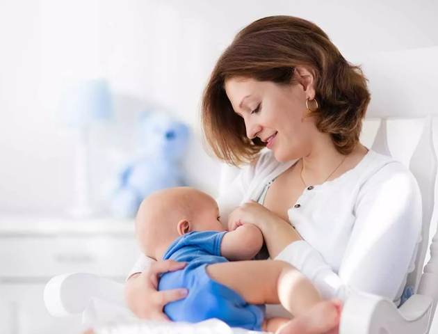 What Is The Process Of Lactation?